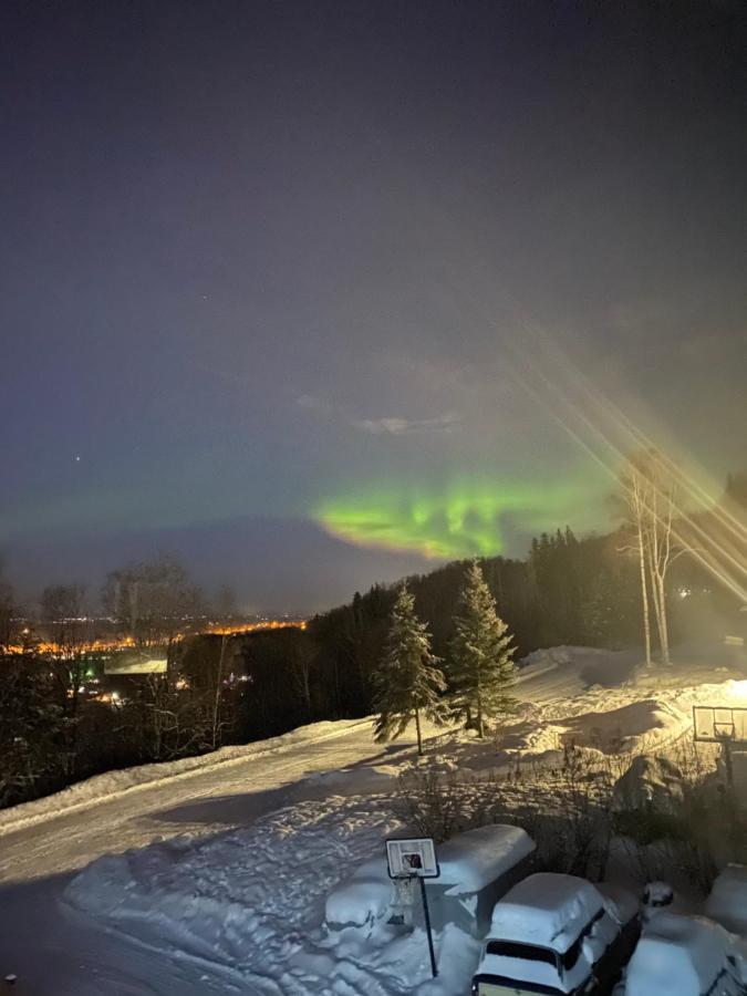 Alaskan Adventure Awaits! Eagle River Экстерьер фото